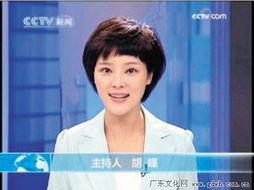 中央一套直播在线观看一,实时掌握国家动态，畅享精彩瞬间